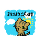 キジトラジャパン（個別スタンプ：16）