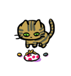キジトラジャパン（個別スタンプ：30）