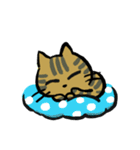 キジトラジャパン（個別スタンプ：31）