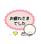 ビションフリーゼまるくんの業務連絡1（個別スタンプ：15）