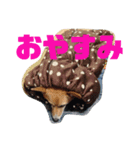 ぽっちゃりコーギーはなさんの日常。9（個別スタンプ：7）