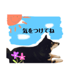 黒柴のエルぴょん②（個別スタンプ：16）