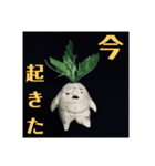 マンドラゴラさんの日常会話（個別スタンプ：5）