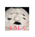 マンドラゴラさんの日常会話（個別スタンプ：24）