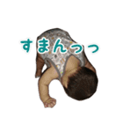 おっさんべいびー★ぷうやん（個別スタンプ：10）