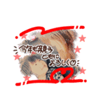 心愛ちゃん お正月バージョン（個別スタンプ：8）