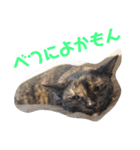 博多おさんぽねこ！（個別スタンプ：1）