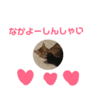 博多おさんぽねこ！（個別スタンプ：19）