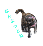 博多おさんぽねこ！（個別スタンプ：22）