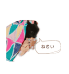 pom  simple stamp（個別スタンプ：16）