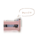 pom  simple stamp（個別スタンプ：33）