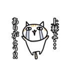 上林さん用猫スタンプ（個別スタンプ：3）