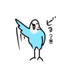 青いセキセイインコ（個別スタンプ：1）