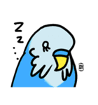 青いセキセイインコ（個別スタンプ：9）