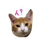 イタズラ坊やのビビ（個別スタンプ：1）