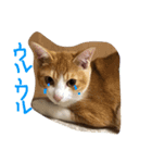 イタズラ坊やのビビ（個別スタンプ：8）