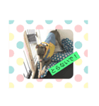 わんこの日常編（個別スタンプ：7）