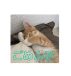 むぎくんスタンプ Part1（個別スタンプ：6）