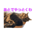 楓5（個別スタンプ：3）