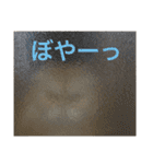 目つきわるいよスコッチくん（個別スタンプ：8）