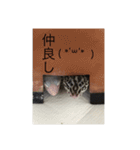 レオパライフ（個別スタンプ：11）