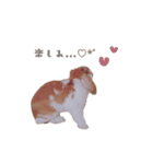 うさぎのミルク②（個別スタンプ：2）