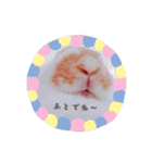 うさぎのミルク②（個別スタンプ：4）