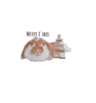 うさぎのミルク②（個別スタンプ：23）