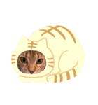 ネコ新年（個別スタンプ：3）