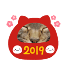 ネコ新年（個別スタンプ：7）
