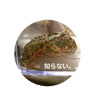 チャイの平和な？日常（個別スタンプ：3）