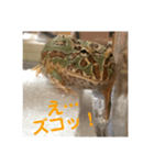 チャイの平和な？日常（個別スタンプ：4）
