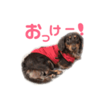 みれちゃんまりちゃんすたんぷ（個別スタンプ：22）