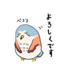 十三崖のチョウゲンボウ（個別スタンプ：11）