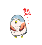 十三崖のチョウゲンボウ（個別スタンプ：13）