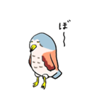 十三崖のチョウゲンボウ（個別スタンプ：40）
