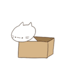 しずかでむくちなねこ（個別スタンプ：16）