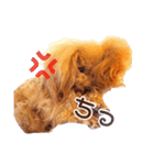わがままトイプードル もなか（個別スタンプ：7）