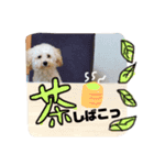 ロニー軍団！（個別スタンプ：4）