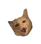 ねことひととねこ（個別スタンプ：1）