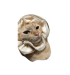 ねことひととねこ（個別スタンプ：3）