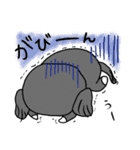 ぽちゃいぬれこ。のーまる（個別スタンプ：9）