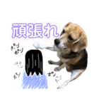 どりちゃん2（個別スタンプ：3）
