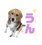 どりちゃん2（個別スタンプ：5）