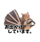 犬スタンプ★チワワ☆Rotty☆Kerry☆Hanabi（個別スタンプ：34）