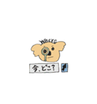 koara`s（個別スタンプ：18）