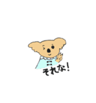 koara`s（個別スタンプ：19）
