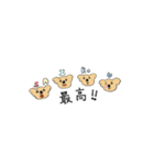 koara`s（個別スタンプ：21）