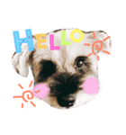 くうちゃんすたんぷ①（個別スタンプ：1）