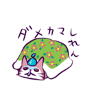 猫カマボコ（個別スタンプ：9）